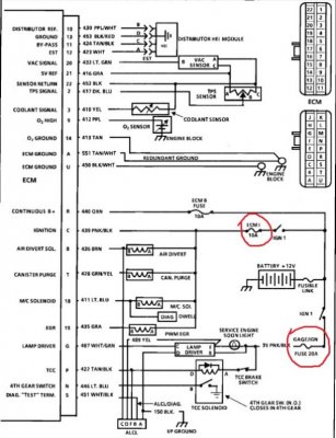 Pin Out Diagram.jpg